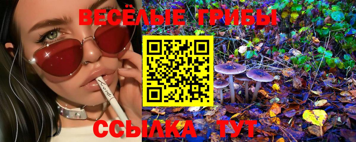 Галлюциногенные грибы MAGIC MUSHROOMS Жигулёвск