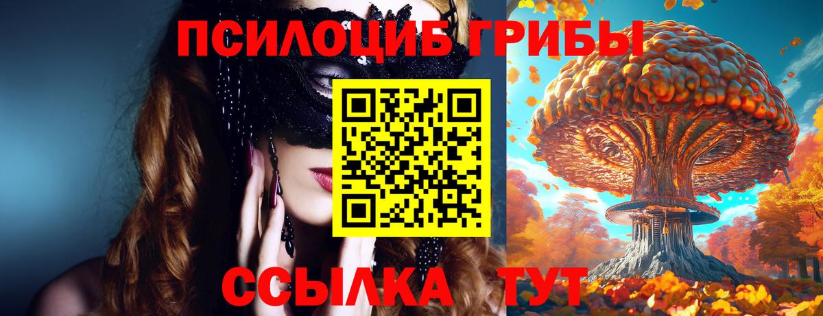 где найти   Галлюциногенные грибы прущие грибы  Псилоцибиновые грибы ЛСД  Вход с VPN  Жигулёвск 