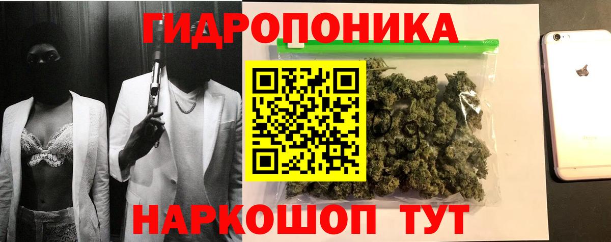 Жигулёвск  Конопля SATIVA & INDICA  Каннабис план  Вход с VPN 